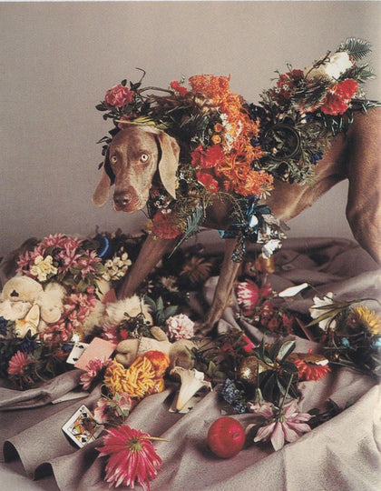 Fay - William Wegman (1999)