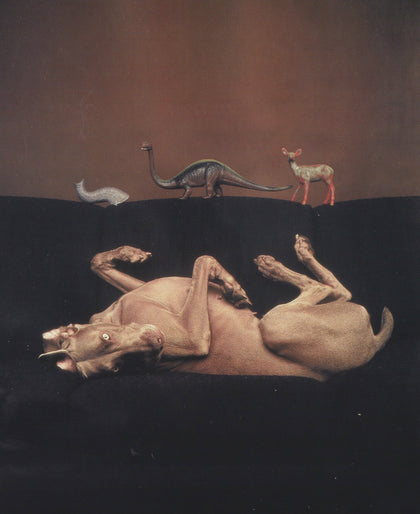 Fay - William Wegman (1999)