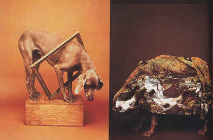 Fay - William Wegman (1999)