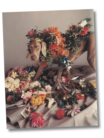 Fay - William Wegman (1999)