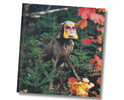 Fay - William Wegman (1999)