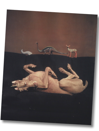 Fay - William Wegman (1999)