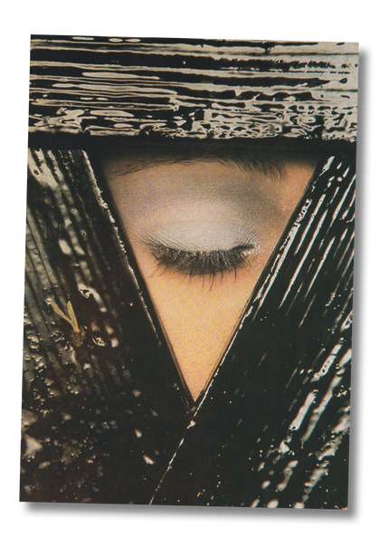 Beauty Photography in Vogue - Martin Harrison (1987)